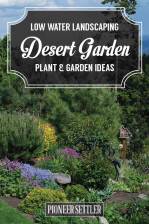 40-drought-tolerant-plant-ideas-for-your-homesteads-landscape