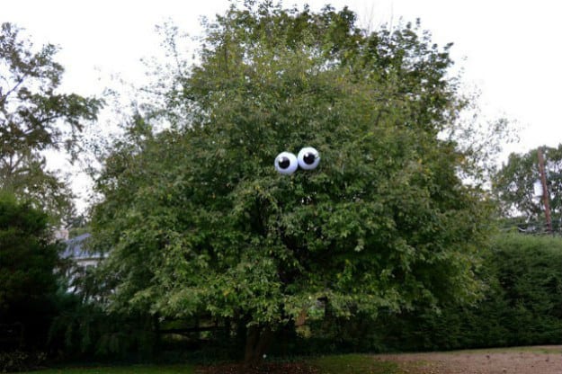 Eyeballs in a Tree | Breathtakingly Easy-to-Make DIY Halloween Decorations