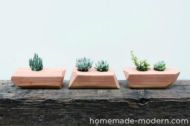 DIY Succulent Planter | DIY Garden Wood Projects To Boost Your Property Value On A Budget