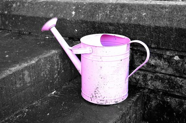 Watering Cans | 10 Tin Can Crafts DIY Ideas