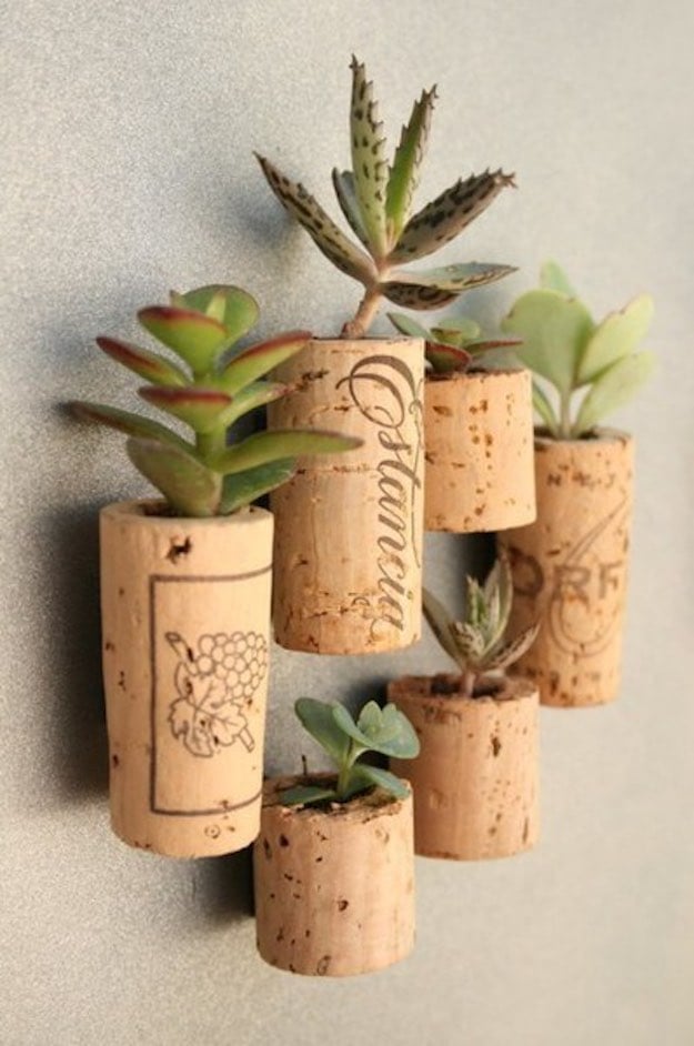 Cork Succulents | Cool Crafts for Teens | DIY Projects for Teens