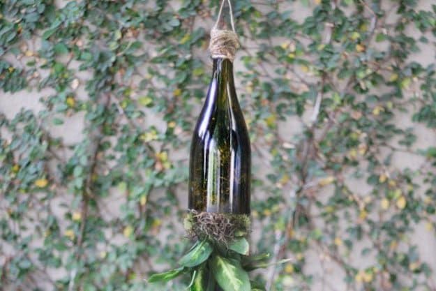 How To Make Wine Bottle Planters | DIY Outdoor Projects | The Ultimate List