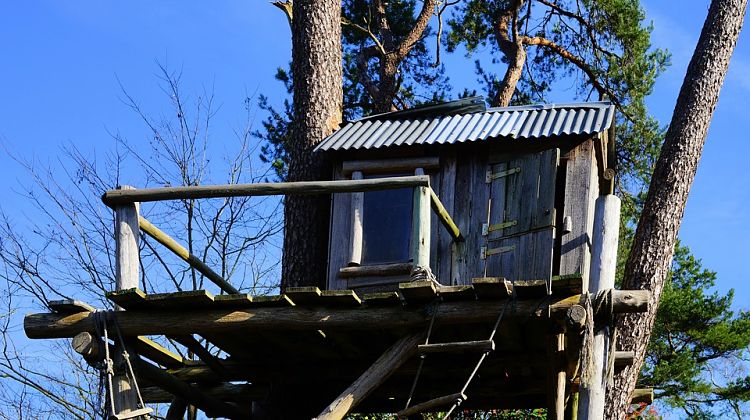 Make Memories With This DIY Treehouse For Your Kids | DIY Projects