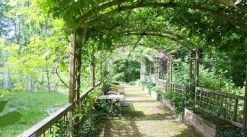 A Walk To The Countryside | 10 Amazing Pergola Ideas For Your Backyard | DIY Projects