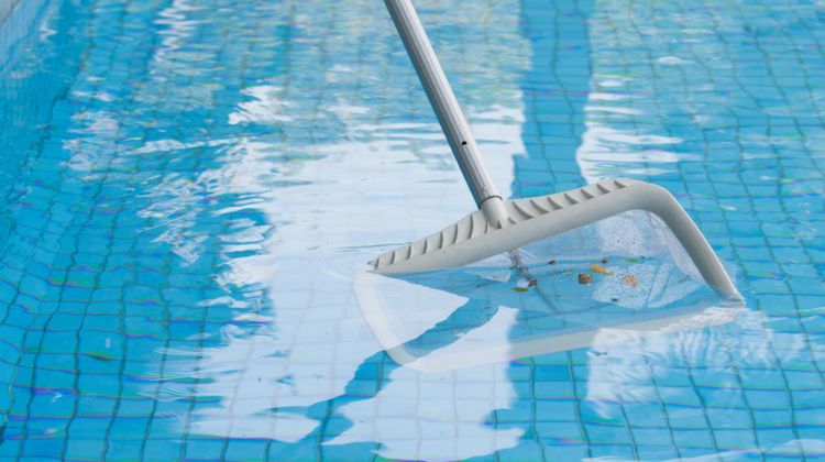 DIY Pool Maintenance Guide That Could Save You Extra Bucks