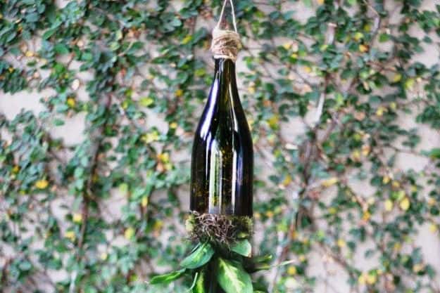Hanging Bottle Planter | Super Cool Wine Bottle Crafts and Ideas To DIY