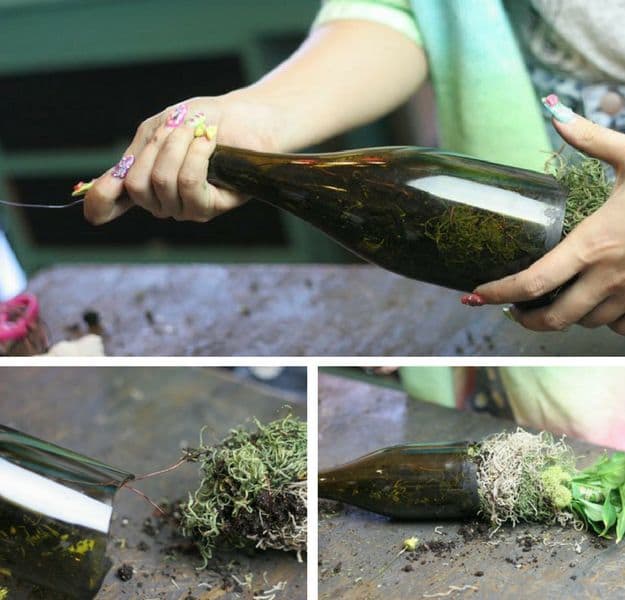 Step 9: Insert Plant Into Wine Bottle | Wine Bottle Crafts | How To Make Wine Bottle Planters
