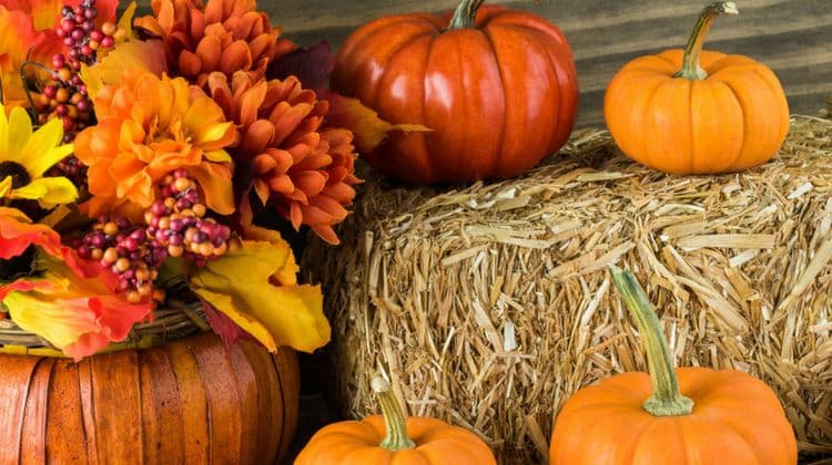 DIY Ways to Decorate Your Home with Pumpkins This Fall