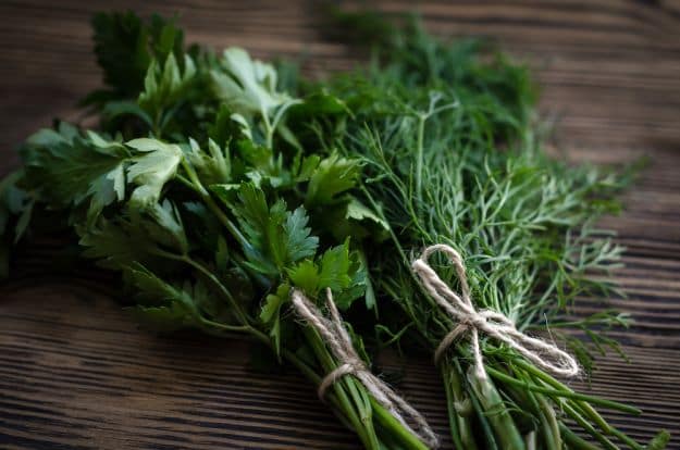 Step 1: Tie The Herbs | How To Dry Herbs | Herb Garden Tips