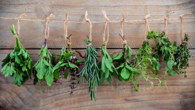 Step 2: Hang The Bundles | How To Dry Herbs | Herb Garden Tips