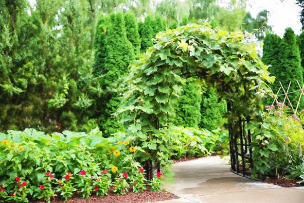 Arched Entryway | Amazing Pergola Ideas For Your Backyard | pergola ideas pinterest