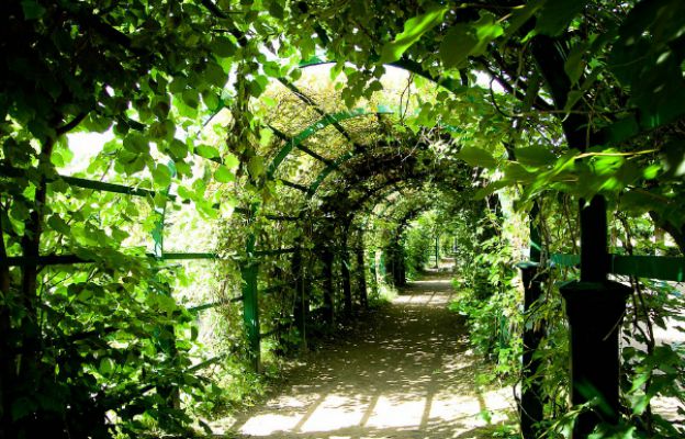 Green Tunnel | Amazing Pergola Ideas For Your Backyard | modern pergola design ideas