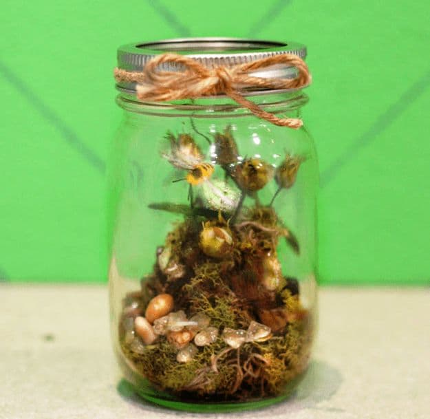 Mason Jar Terrarium | Quick And Easy DIY Home Projects You Can Do This Weekend