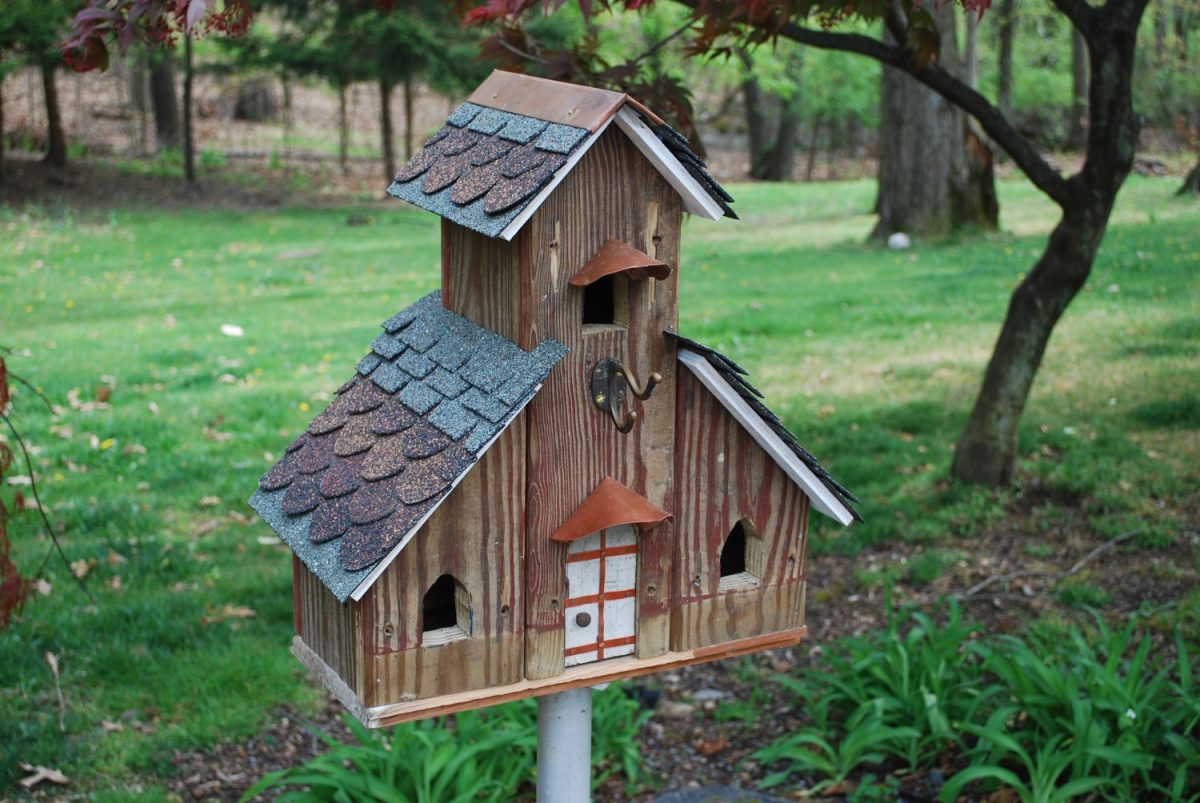 bird house for your backyard can really be a focal point