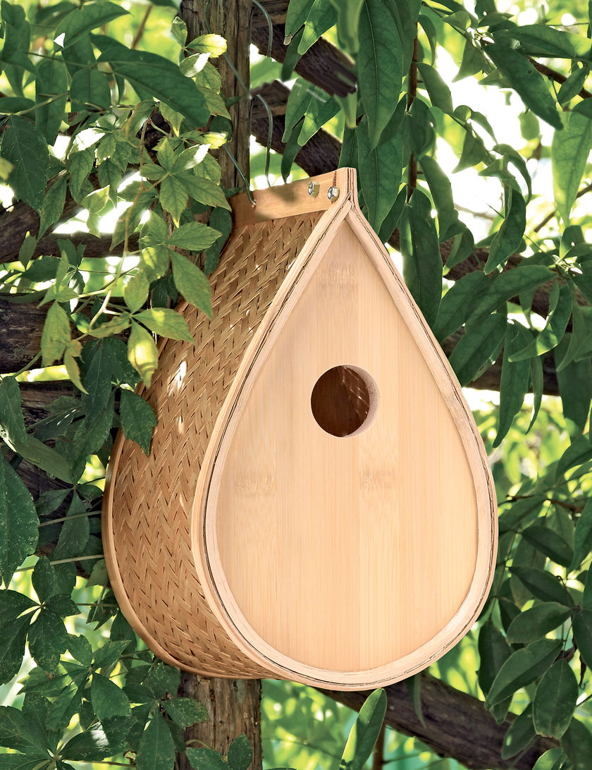 bird house for your backyard can really be a focal point