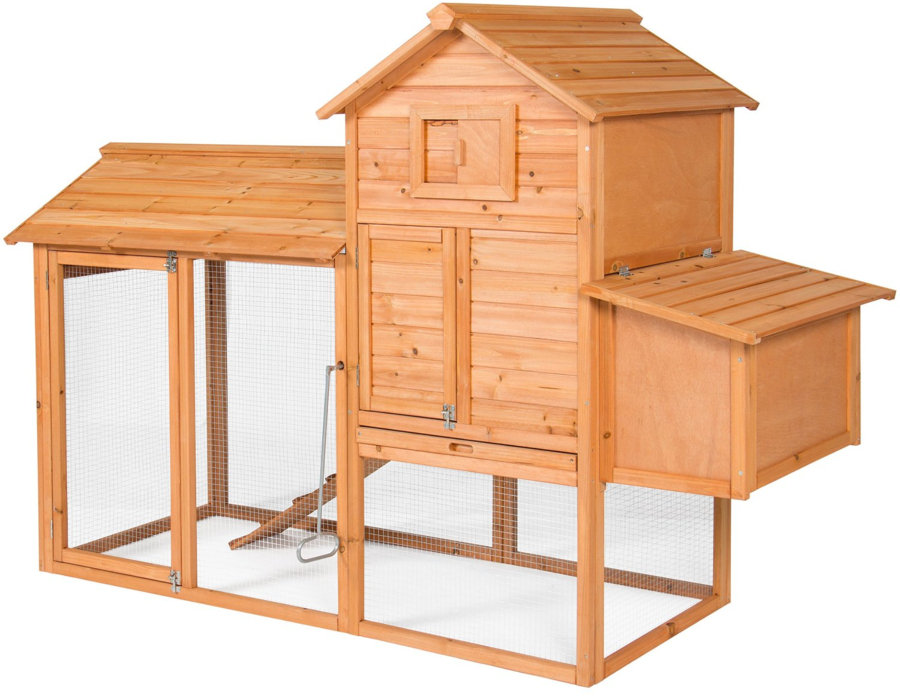 Chicken coop these days are quite fancy and range in style