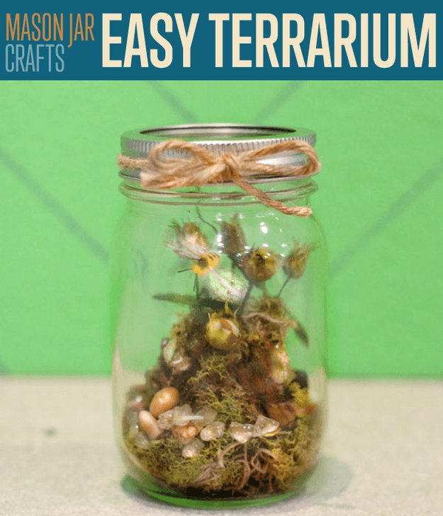 Mason Jar Craft Ideas | How To Make A Terrarium | Let's get Creative with These Mason Jar Crafts