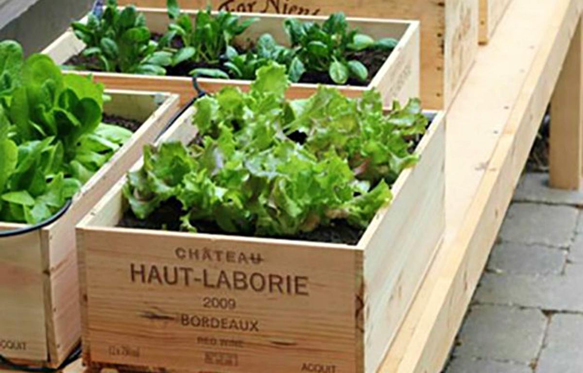 Lettuce wooden crate | Things To Never Throw Away For DIY Junkies [2nd Edition]