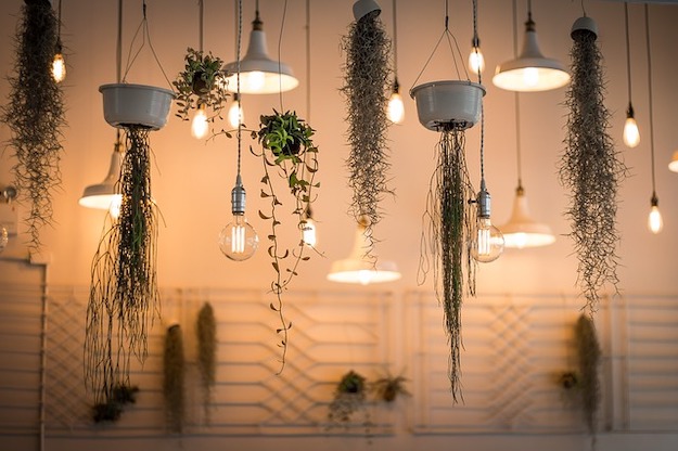Check out How To Create A Hanging Lightbulb Planter at https://diyprojects.com/create-hanging-lightbulb-planter/