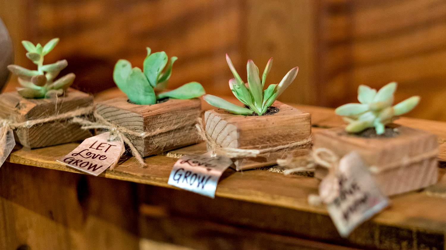 Feature | Lovely presents for wedding guests with succulent plants | DIY Wedding Favor Ideas Guests Will Keep For Sure