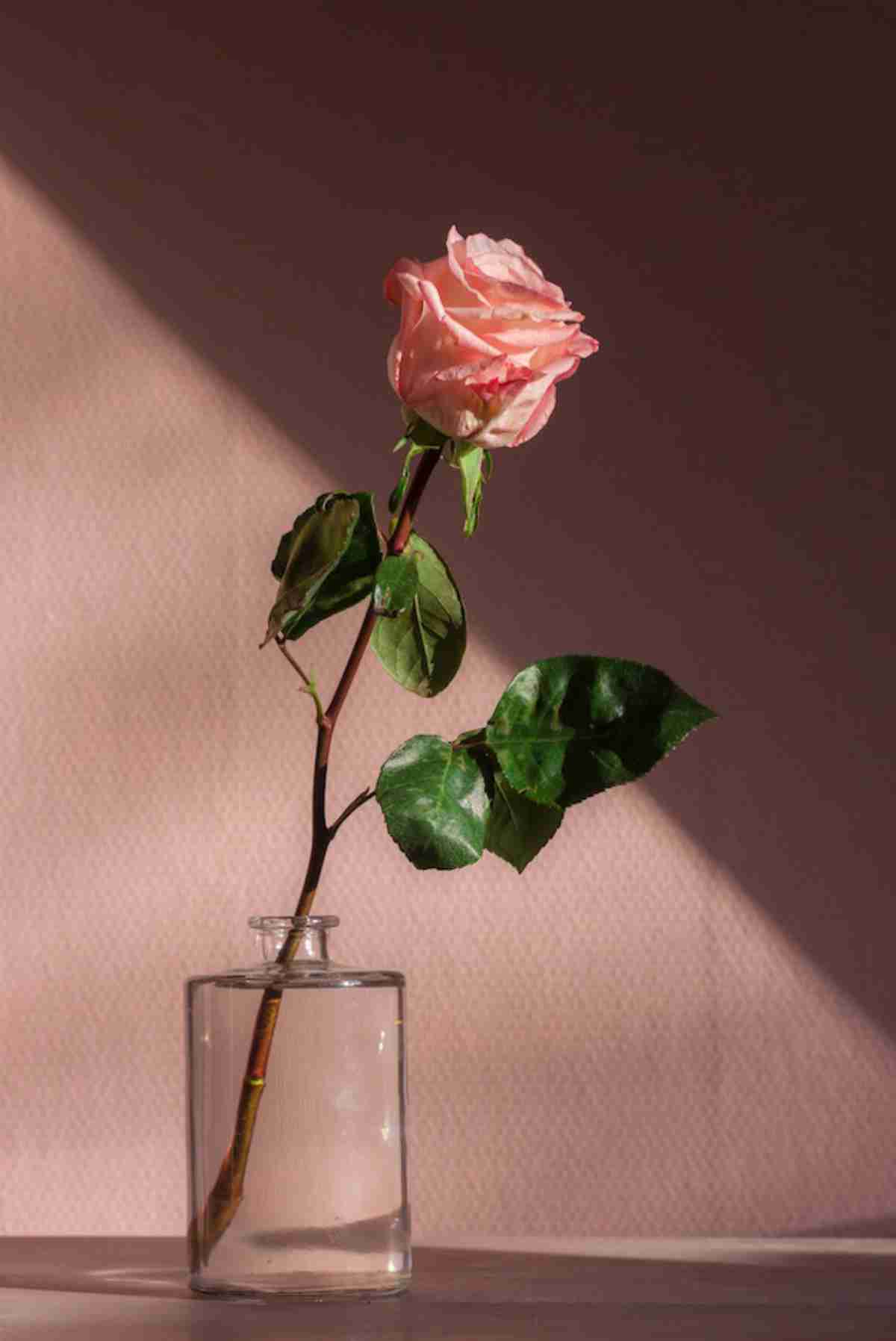 pink rose on a water glass | Easy Home Improvement Projects: Small Budget, Big Impact Upgrades