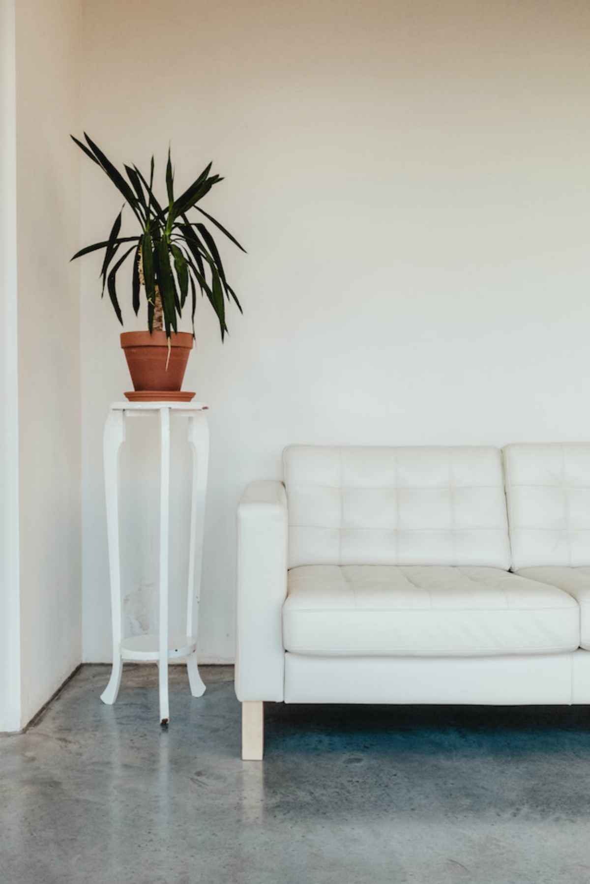 houseplant next to sofa | Easy Home Improvement Projects: Small Budget, Big Impact Upgrades