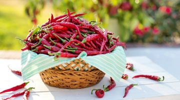 Feature | Basket of Chili Peppers | Top (Delicious) Hot Sauce Recipes You Can Make