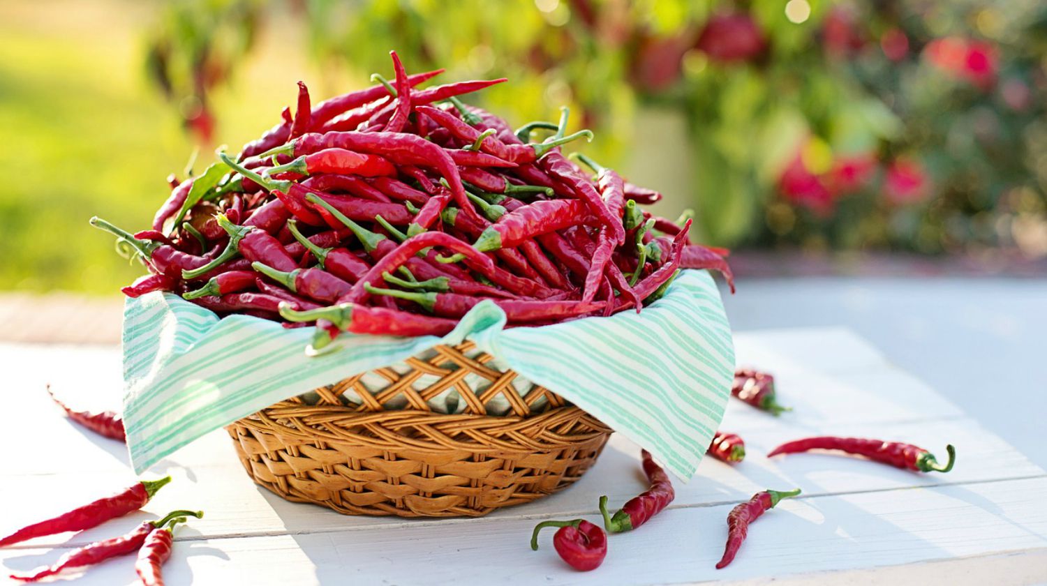 Feature | Basket of Chili Peppers | Top (Delicious) Hot Sauce Recipes You Can Make