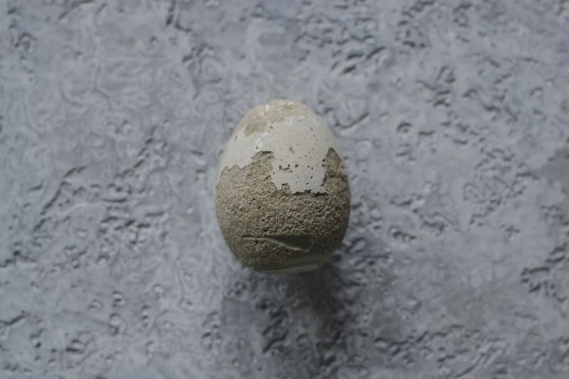 concrete-egg-on-background | egg crafts
