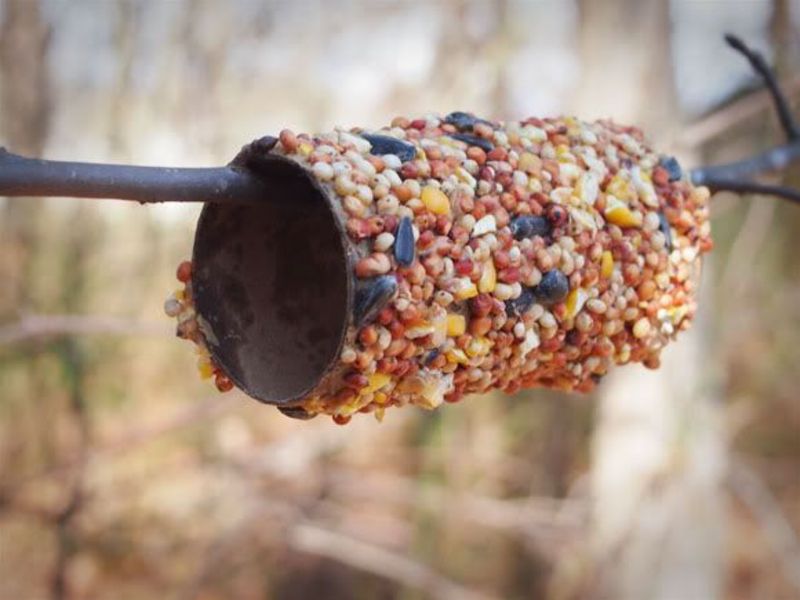 how-to-make-peanut-butter-bird-feeder | what to do with empty toilet paper rolls