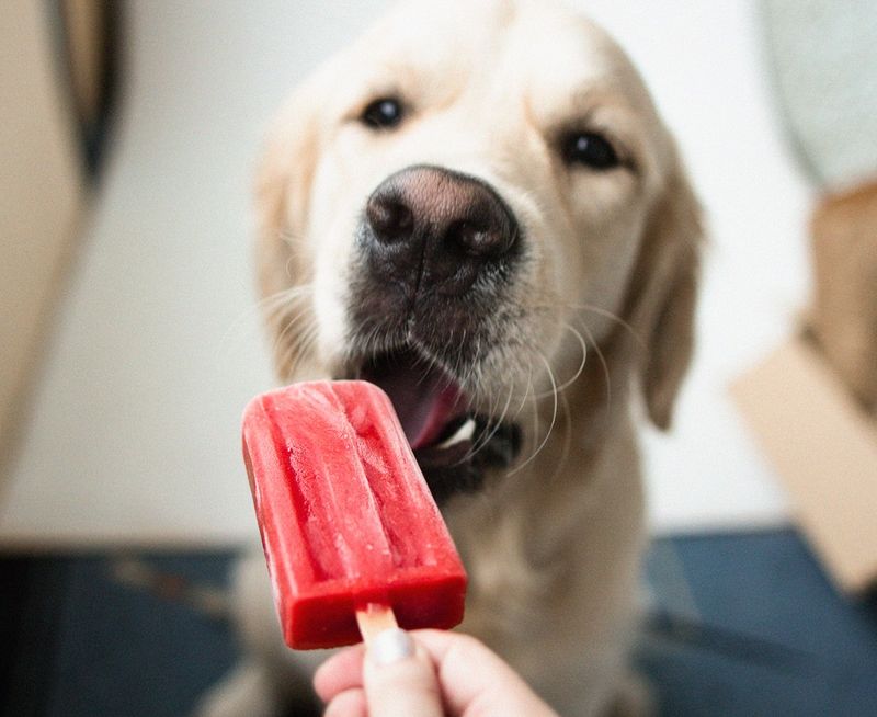golden-retriever-homemade-ice-cream-tries | dog popsicle
