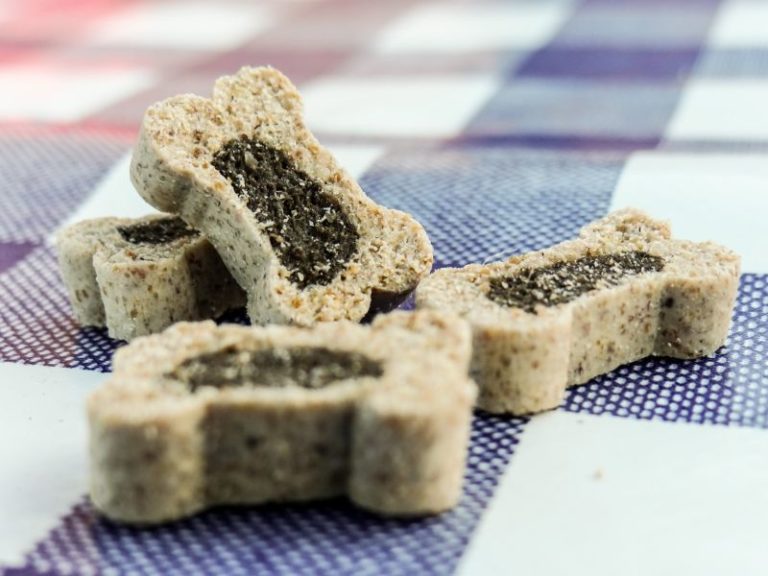 Homemade Low Fat Dog Treats Perfect For National Pet Day