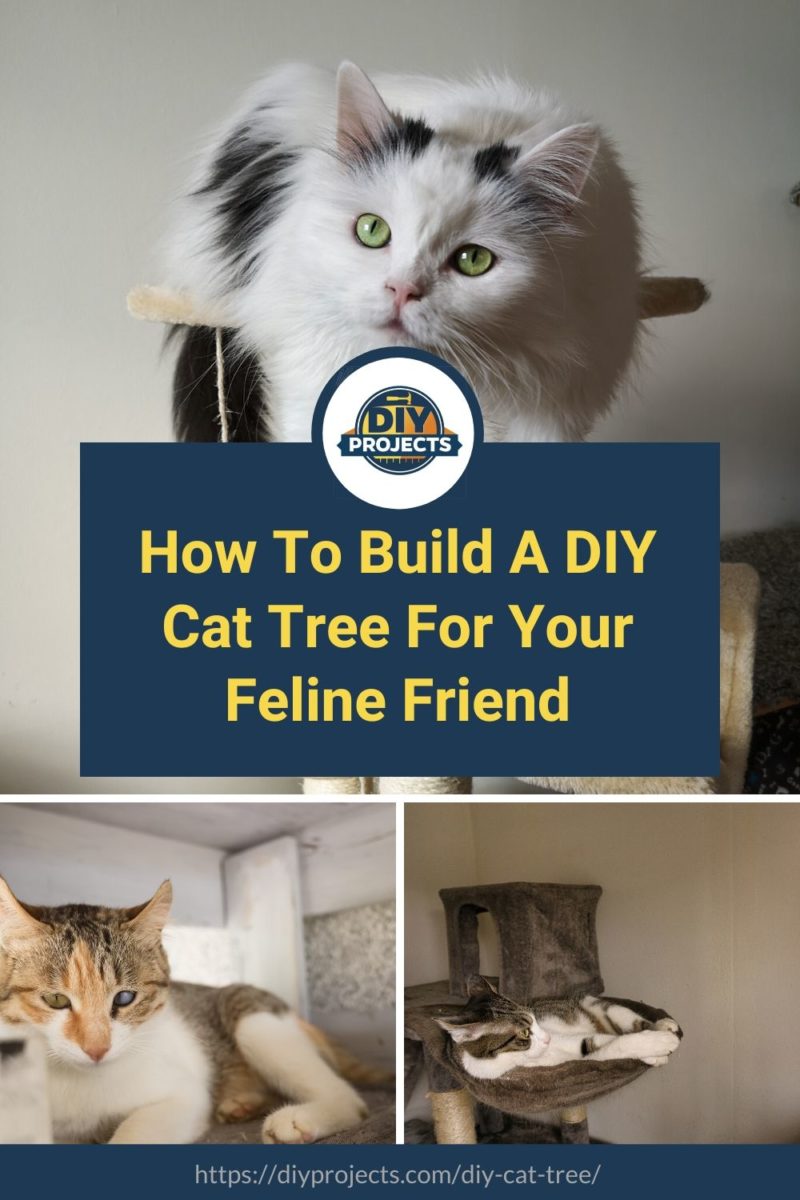 How To Build A DIY Cat Tree For Your Feline Friend