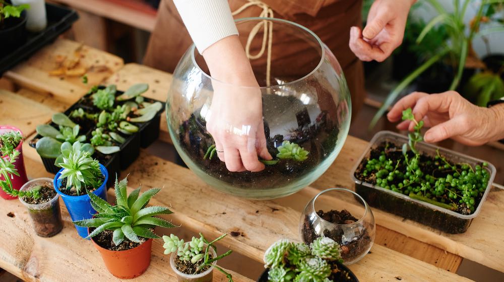 terrarium with succulent | Build A Mini Garden Terrarium With Your Kids | featured