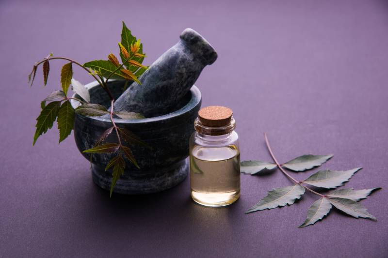 ayurvedic-anti-bacterial-herbs-neem-lilac | all natural pesticide