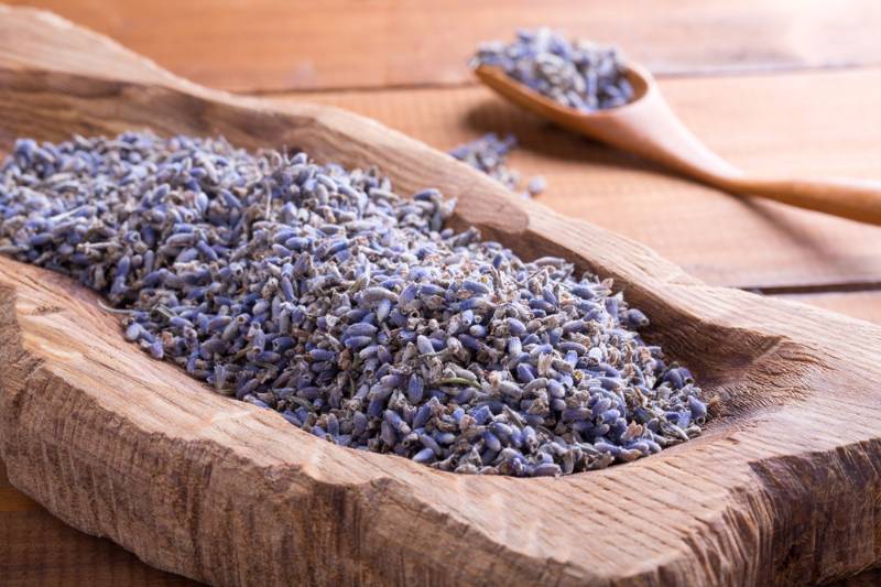 dried-lavender-flowers | lavender