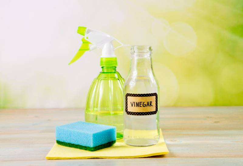 chemical-free-home-cleaner-products-concept | DIY Makeup Brush Cleaner To Effectively Disinfect Your Brushes