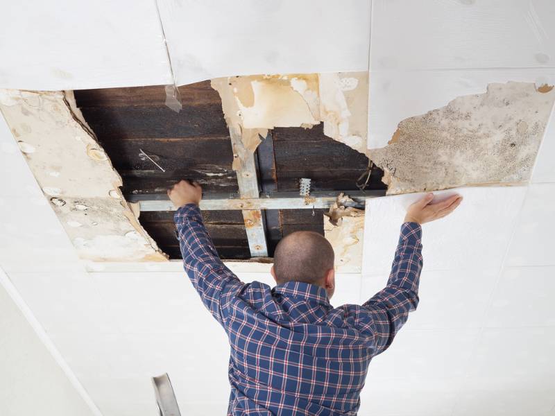 man repairing a collapsed ceiling panels | A Beginner's Guide To Ceiling Repair | home repair