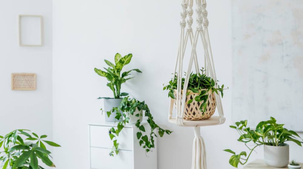 stylish minimalistic boho interior crafted handmade | Easy DIY Macrame Shelf To Decorate Your Home | Featured