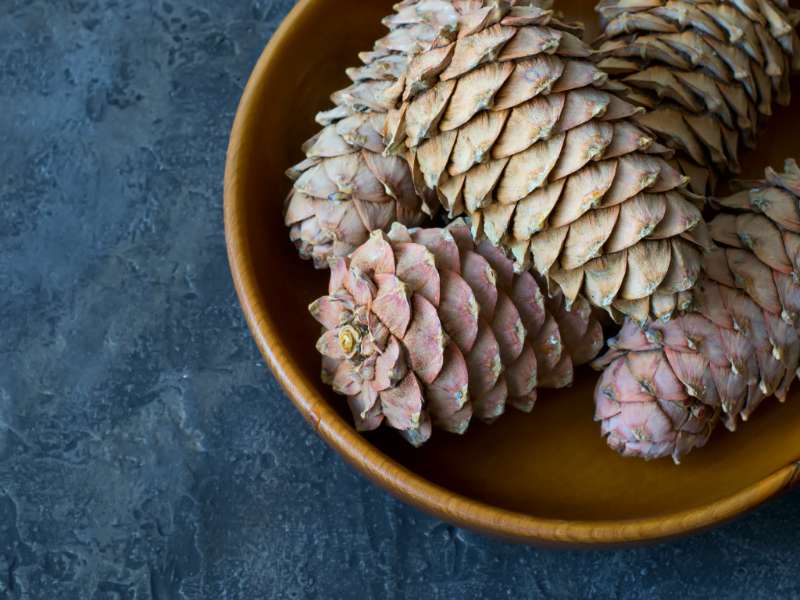 cedar-cones-with-pine-nuts-in-a-bowl-close-up | pine cone crafts