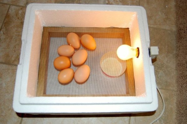 DIY Homemade Incubator