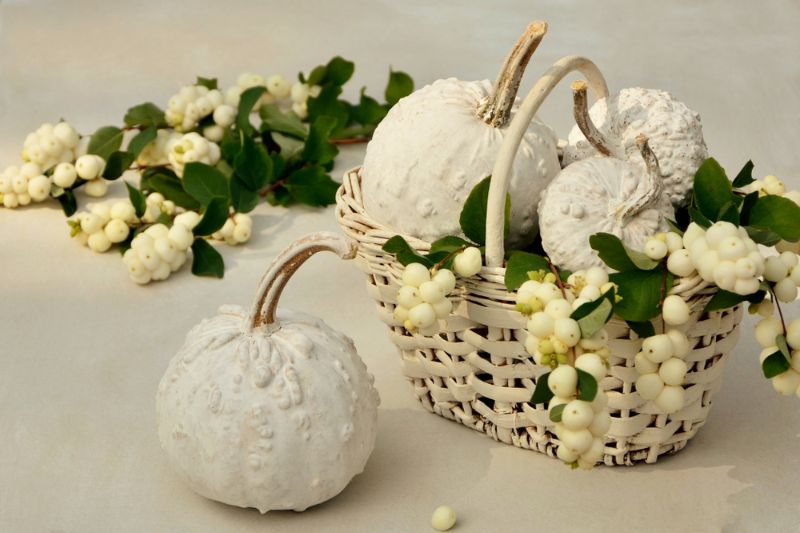 Herbstdekoration-weiße-Kürbisse-Schnee-Beere |  Thanksgiving Farbe Handwerk