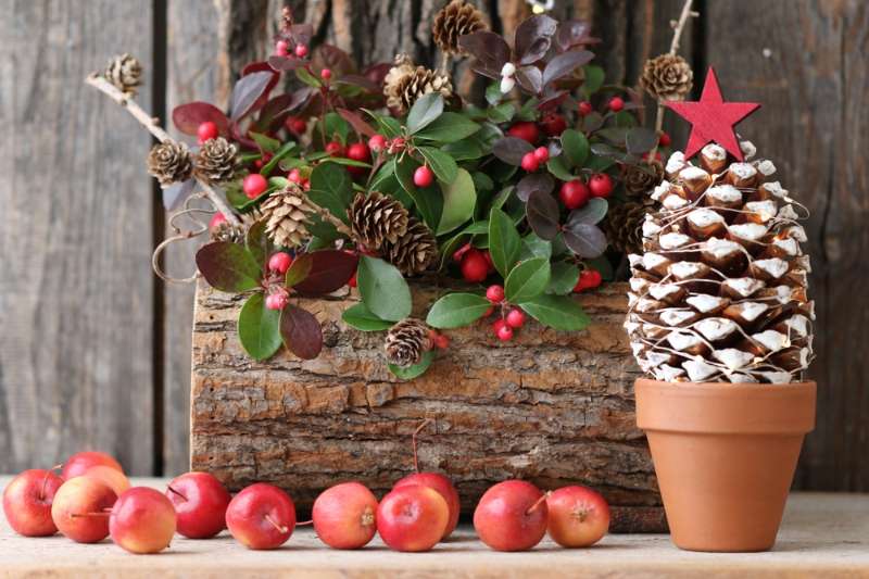christmas-composition-fresh-berries-wooden-planter | kids art