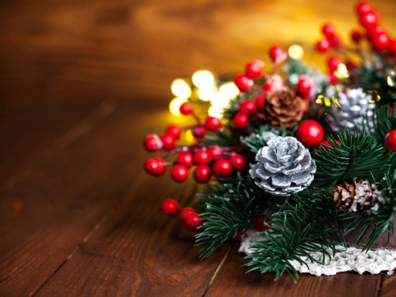 christmas-fir-with-pinecone-and-garland | pine garland