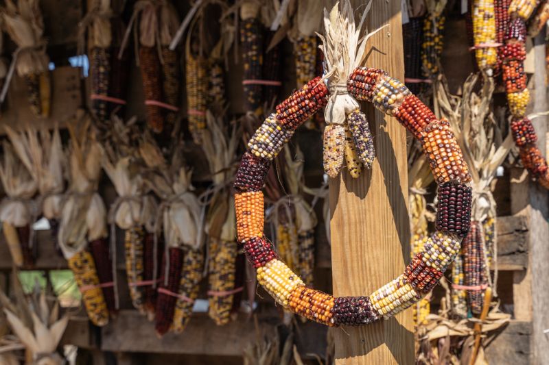 bunte-indina-maiskranz-hängt-bauern |  Erntedankfest für Erwachsene pinterest