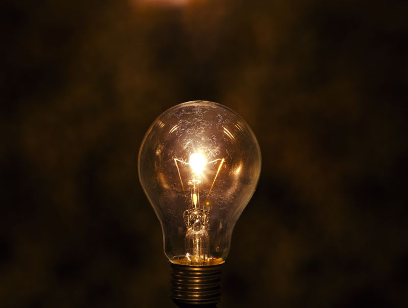 light bulb | build your own egg incubator