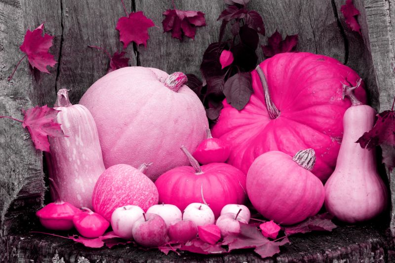 pink-pumpkin-mix-white-autumn-apples | thanksgiving crafts for kids