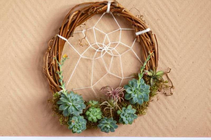 succulent-wreath-dream-catcher | thanksgiving wood crafts