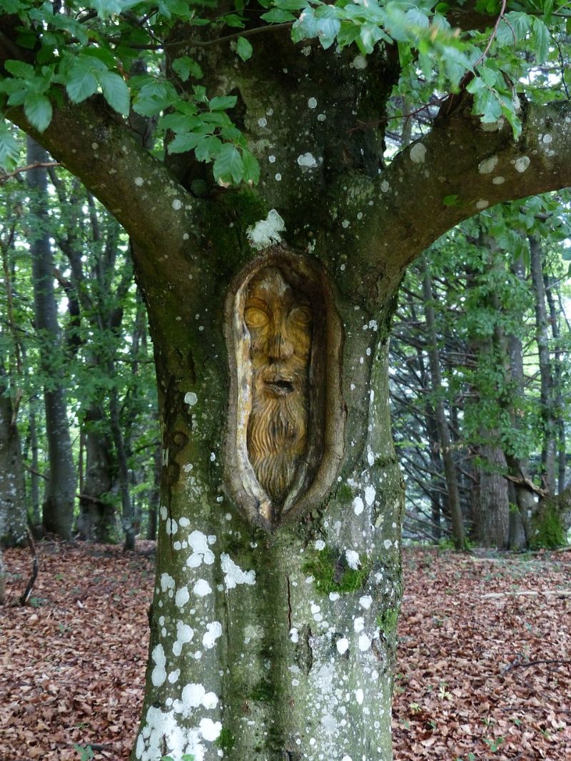tree-face-forest-spirit-carving | wood art