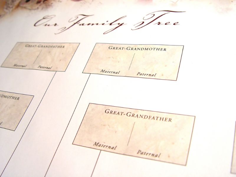 blank-family-tree-different-angle-words | gift for grandmother from granddaughter